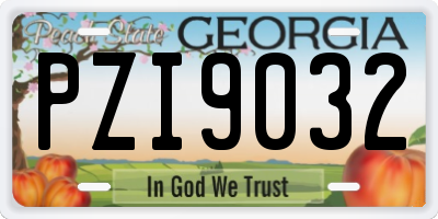 GA license plate PZI9032