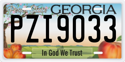 GA license plate PZI9033