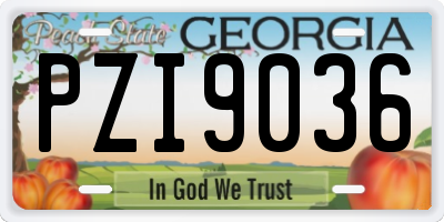 GA license plate PZI9036