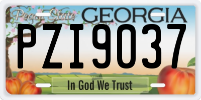 GA license plate PZI9037