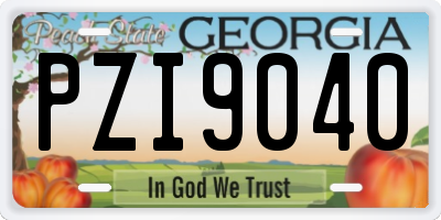 GA license plate PZI9040