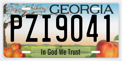 GA license plate PZI9041