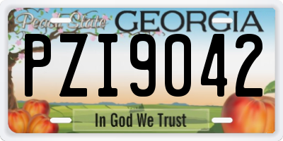 GA license plate PZI9042