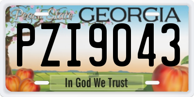 GA license plate PZI9043