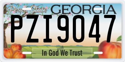 GA license plate PZI9047