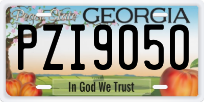 GA license plate PZI9050