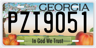 GA license plate PZI9051