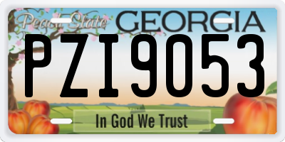 GA license plate PZI9053