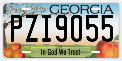GA license plate PZI9055