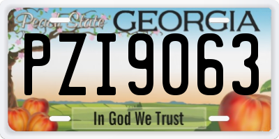 GA license plate PZI9063