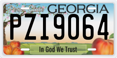 GA license plate PZI9064
