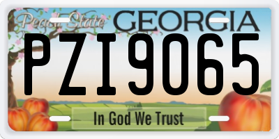 GA license plate PZI9065
