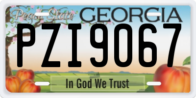 GA license plate PZI9067