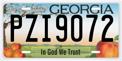 GA license plate PZI9072