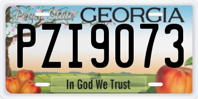 GA license plate PZI9073