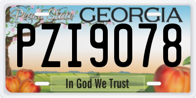 GA license plate PZI9078