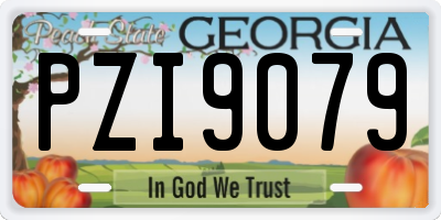 GA license plate PZI9079