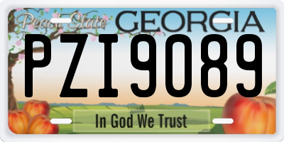GA license plate PZI9089