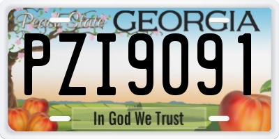 GA license plate PZI9091