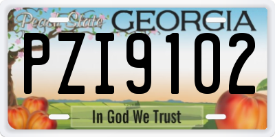 GA license plate PZI9102
