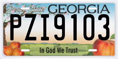 GA license plate PZI9103