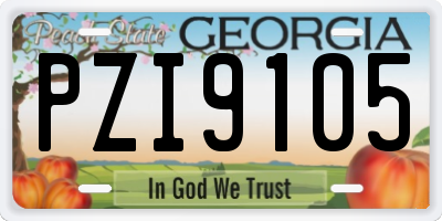 GA license plate PZI9105