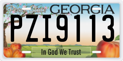 GA license plate PZI9113