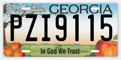 GA license plate PZI9115