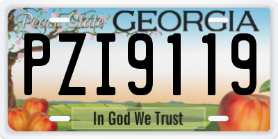 GA license plate PZI9119