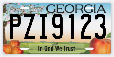 GA license plate PZI9123