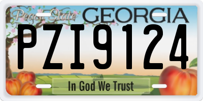 GA license plate PZI9124