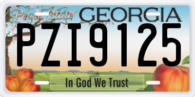 GA license plate PZI9125