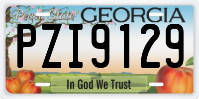 GA license plate PZI9129