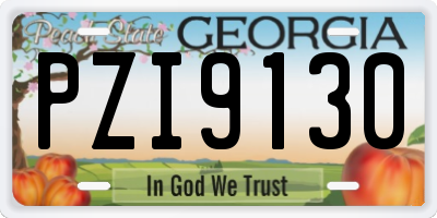 GA license plate PZI9130
