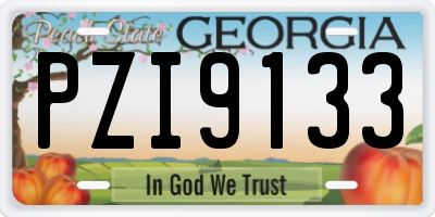 GA license plate PZI9133