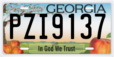 GA license plate PZI9137