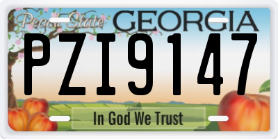 GA license plate PZI9147
