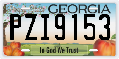 GA license plate PZI9153