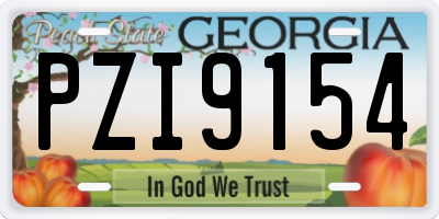 GA license plate PZI9154