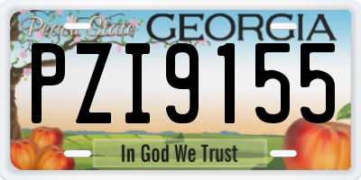 GA license plate PZI9155