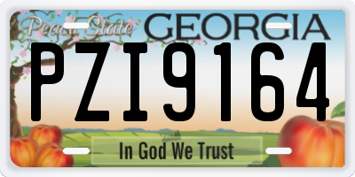 GA license plate PZI9164