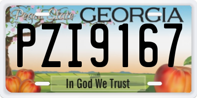 GA license plate PZI9167