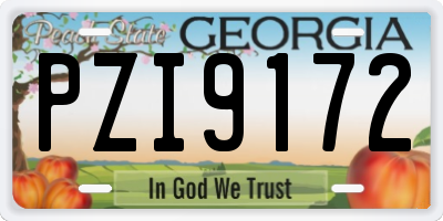 GA license plate PZI9172