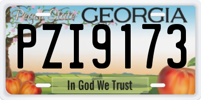 GA license plate PZI9173
