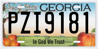 GA license plate PZI9181
