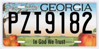 GA license plate PZI9182
