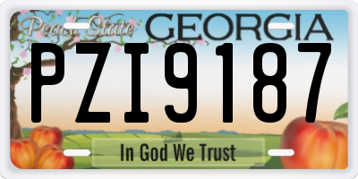 GA license plate PZI9187