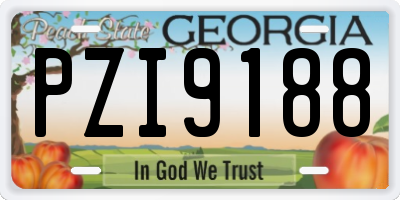 GA license plate PZI9188