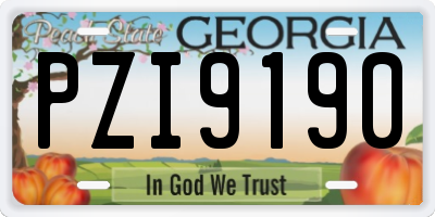 GA license plate PZI9190