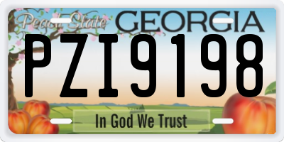 GA license plate PZI9198